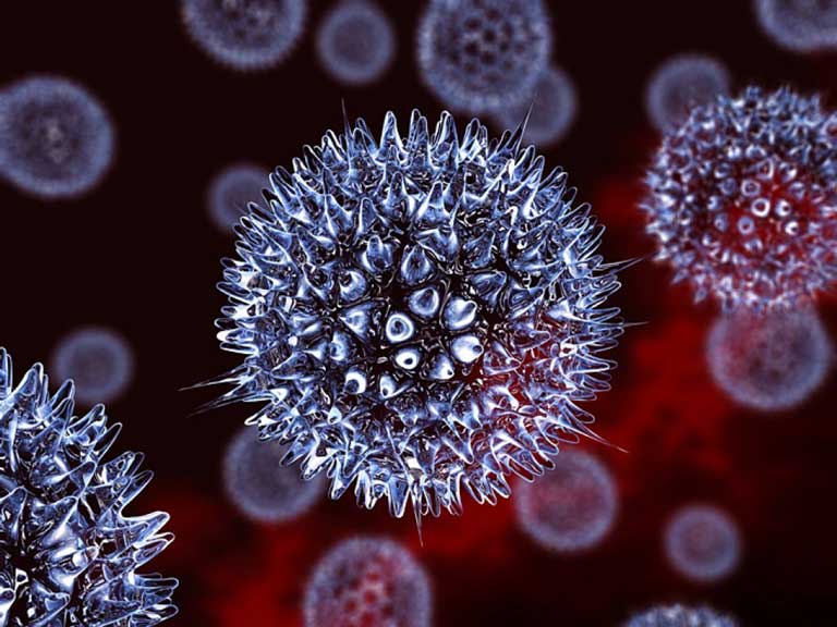 Virus herpes simplex là "thủ phạm" gây ra bệnh