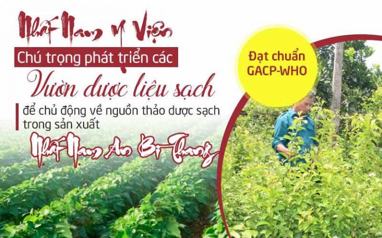 Với phương châm “Nam dược trị Nam nhân”, bài thuốc Nhất Nam An Bì Thang quy tụ hàng chục vị thuốc quý đều là những dược thảo của tự nhiên Việt Nam, phù hợp với cơ địa con người Việt
