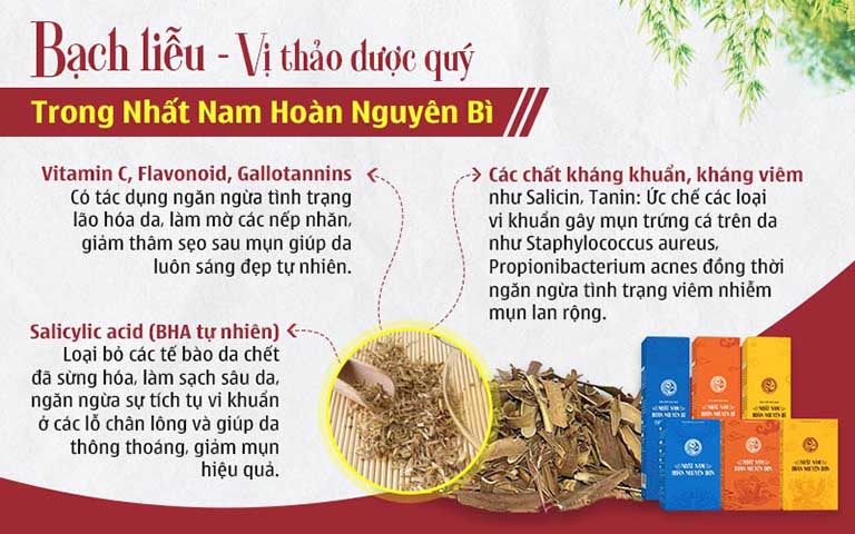 Bạch liễu bì là thành phần thảo dược được Bác sĩ Lê Phương đặc biệt đánh giá cao