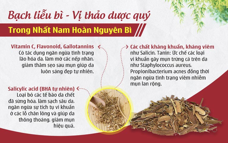 Thảo dược Bạch liễu bì là thành phần thảo dược quan trọng trong Nhất Nam Hoàn Nguyên Bì