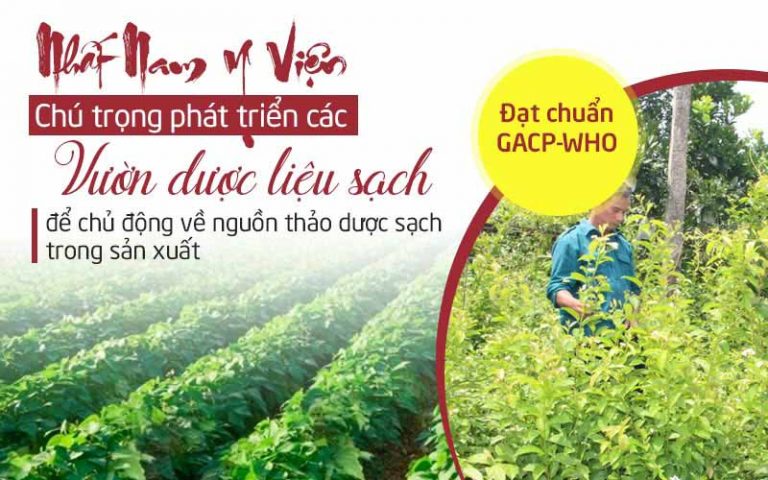 Với phương châm “Nam dược trị Nam nhân”, bài thuốc Nhất Nam An Bì Thang quy tụ hàng chục vị thuốc quý đều là những dược thảo của tự nhiên Việt Nam, phù hợp với cơ địa con người Việt