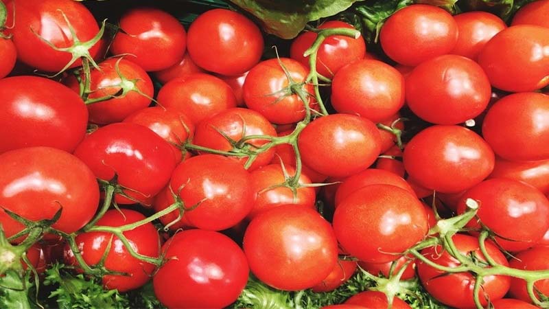 Trị mụn bọc bằng cà chua chín tiết kiệm chi phí và rất an toàn với da