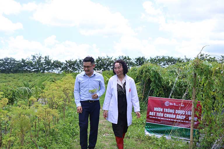 Vườn dược liệu chuẩn GACP-WHO là nguồn cung thảo dược chính tạo nên Vương Phi