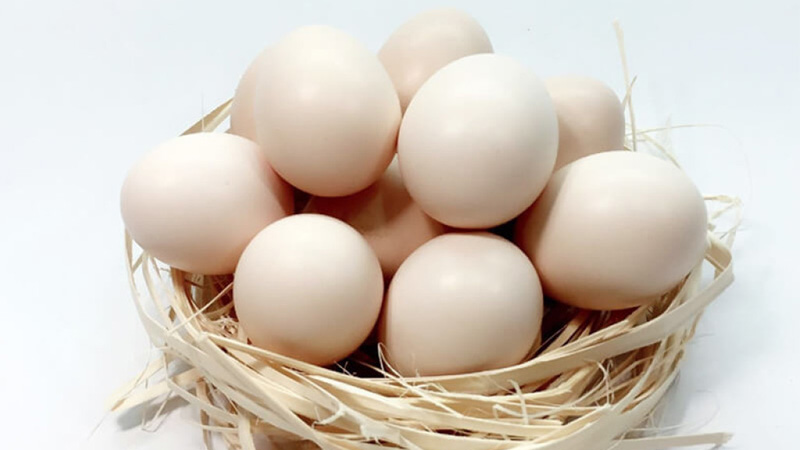 Trứng gà cung cấp nhiều thành phần nổi bật để trị mụn đầu đen